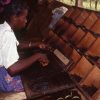 VANILLE DE MADAGASCAR (40 gousses sous vide)