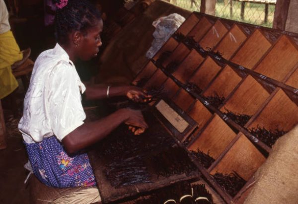 VANILLE DE MADAGASCAR (40 gousses sous vide)