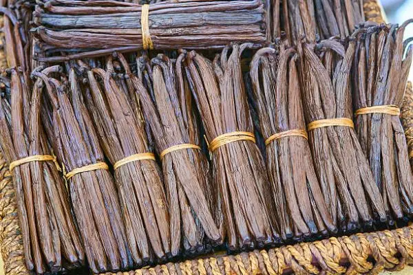 VANILLE DE MADAGASCAR (40 gousses sous vide)