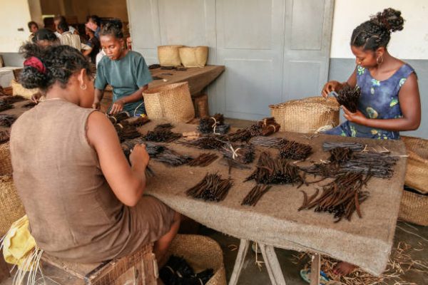 VANILLE DE MADAGASCAR (40 gousses sous vide)